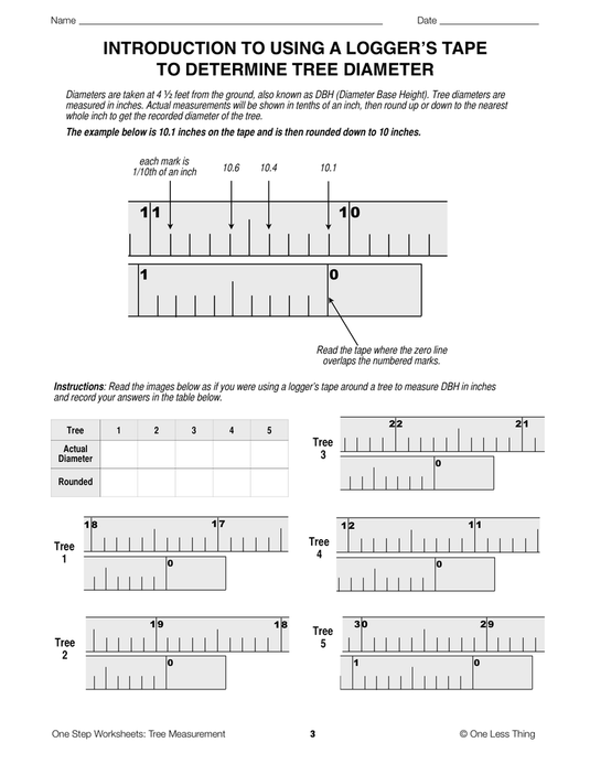 Tree Measurement, One Step Worksheet Downloads – One Less Thing