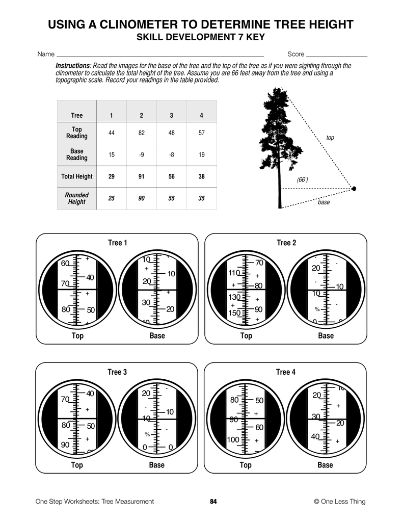 Tree Measurement, One Step Worksheet Downloads