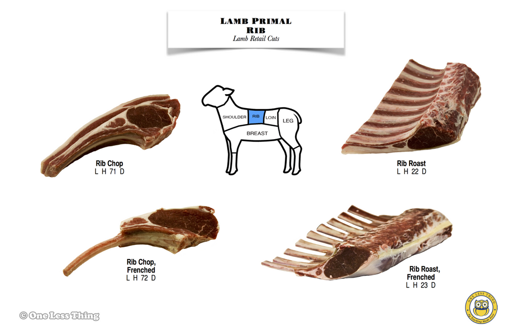 Meats Judging ID Primal Poster Set, 17 Posters