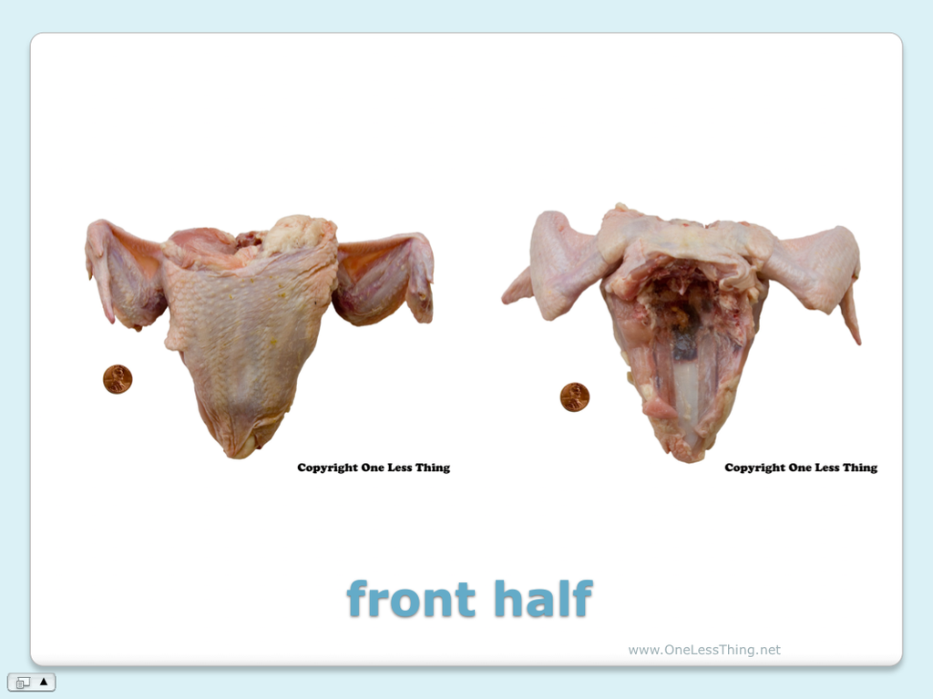 Poultry Judging Cuts ID, PowerPoint Downloads