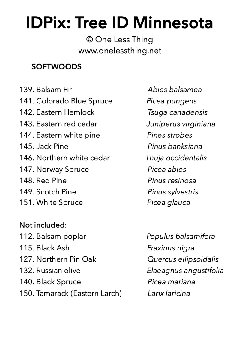Load image into Gallery viewer, Minnesota Tree ID, IDPix Cards
