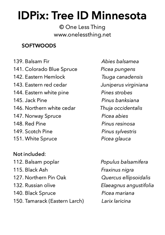 Minnesota Tree ID, IDPix Cards