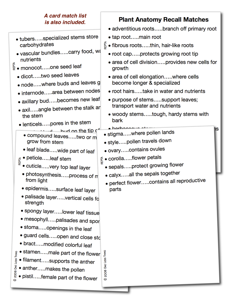 Plant Anatomy, Recall Download Only