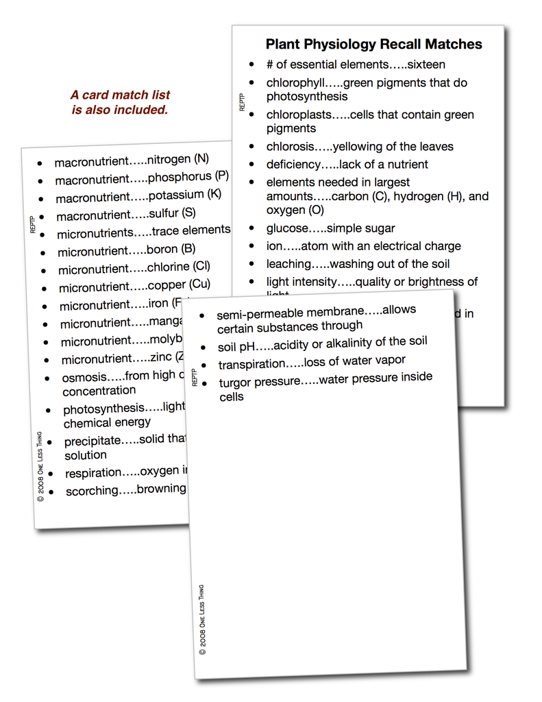 Load image into Gallery viewer, Plant Physiology, Recall Download Only
