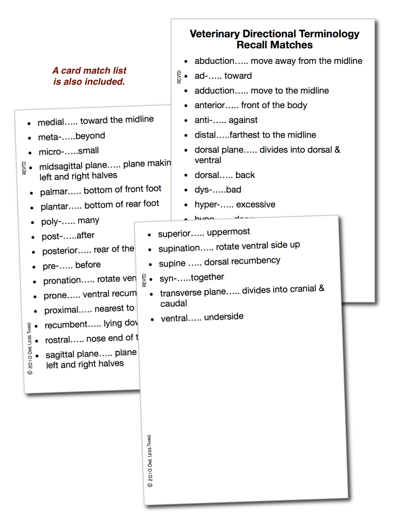 Vet Directional Terminology, Recall Download Only