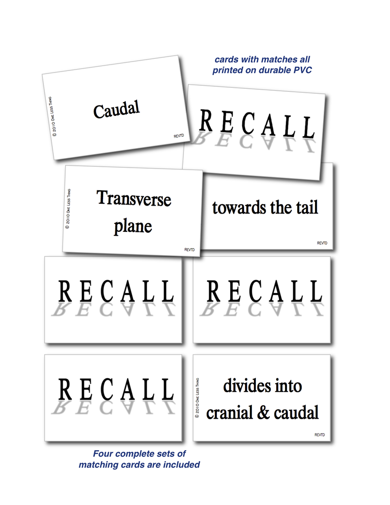 Vet Directional Terminology, Recall Download Only