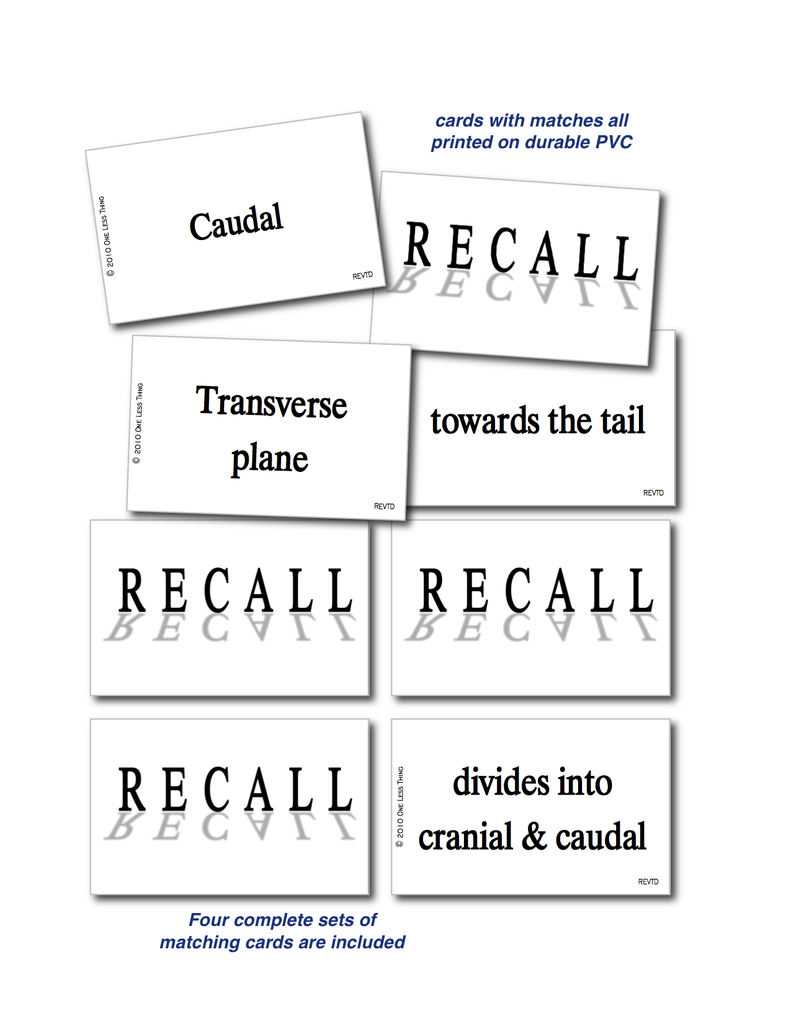 Vet Directional Terminology, Unit Set Download Only