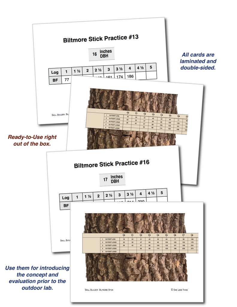 Biltmore Stick, Skill Builder Cards