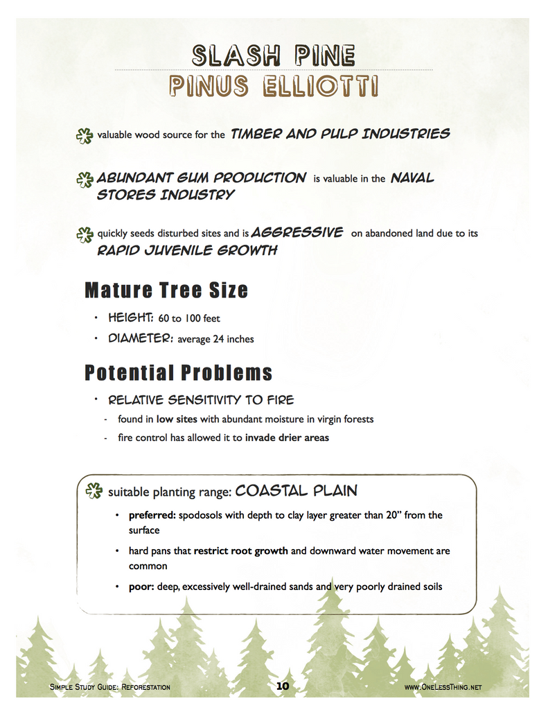 Reforestation, Simple Study Guide