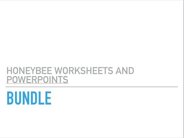 Honeybee Worksheet and PowerPoint Bundle, Downloads