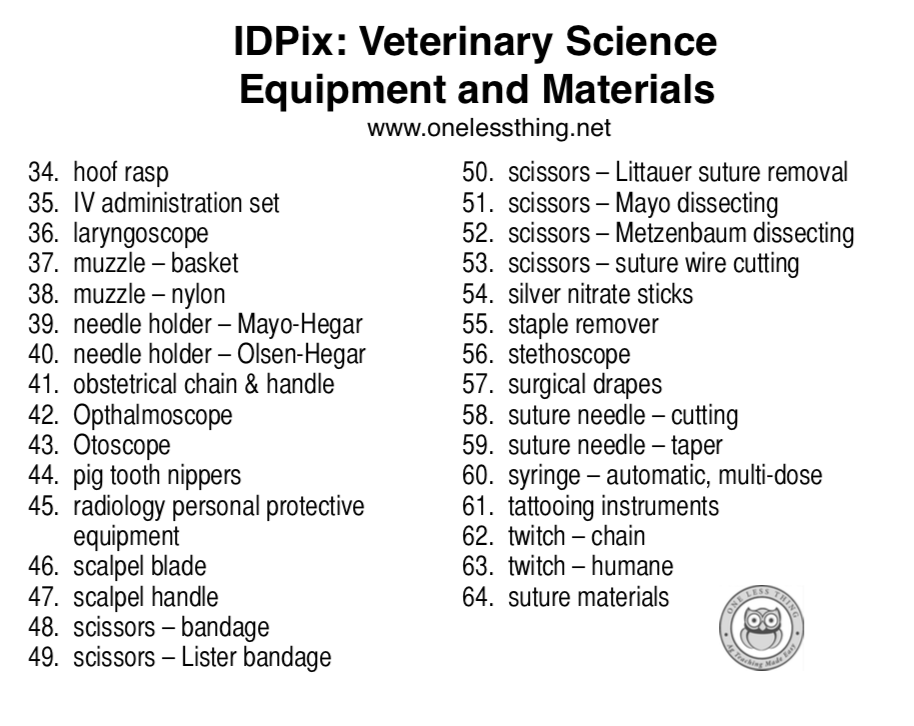 Veterinary Tools and Equipment ID, PowerPoint Downloads