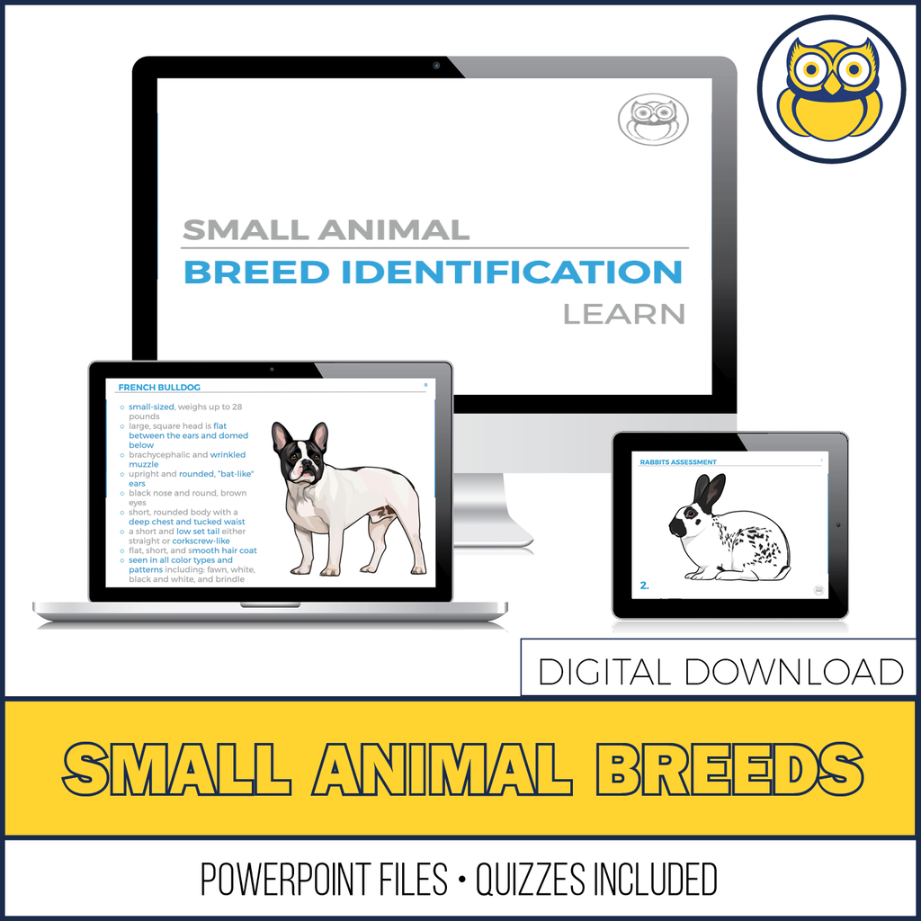 Small Animal Breed ID, PowerPoint Download