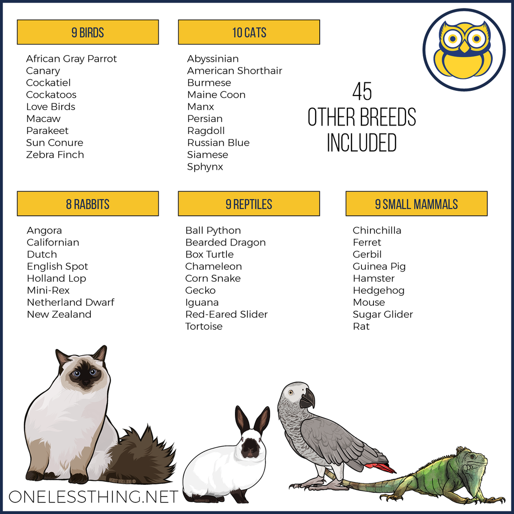 Small Animal Breed ID, PowerPoint Download