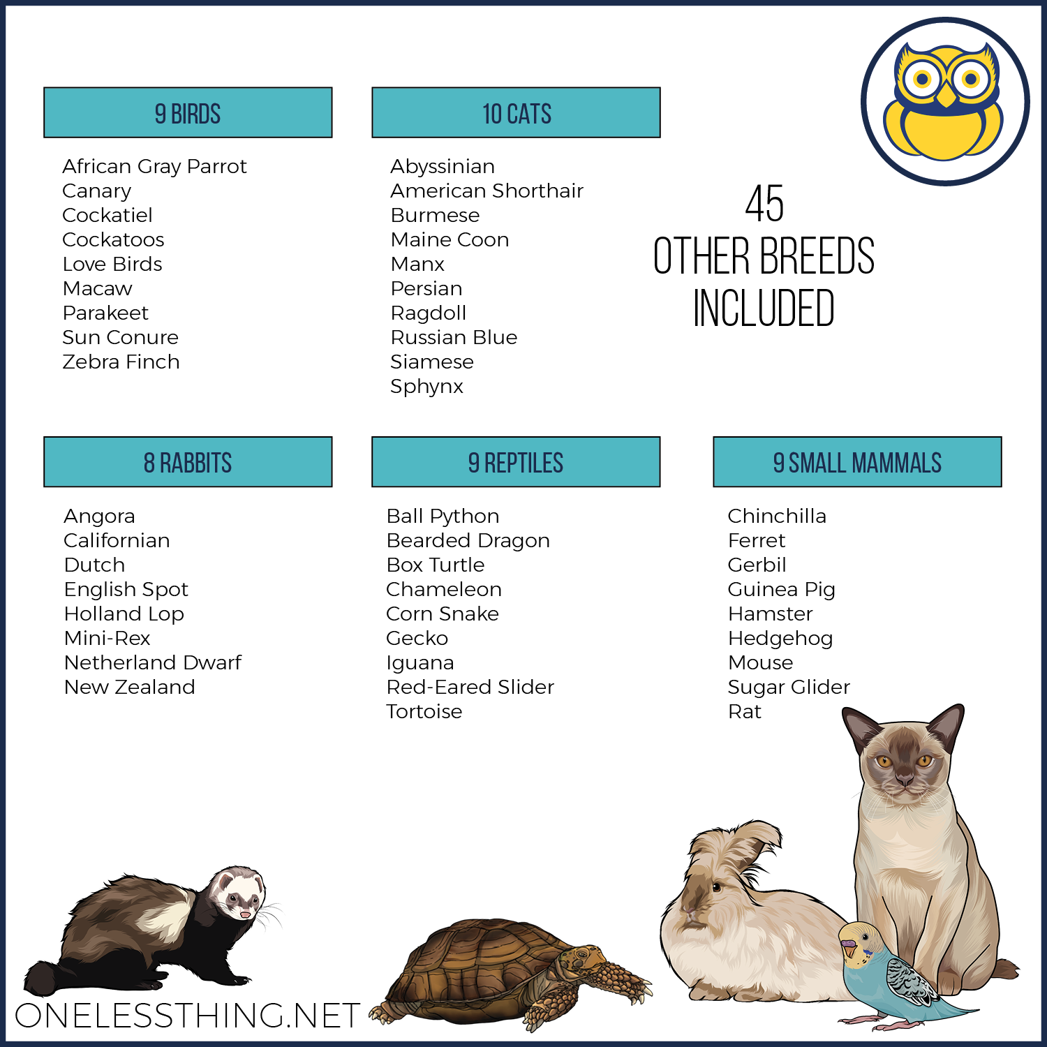 Small Animal Breed ID Laminated Cards One Less Thing