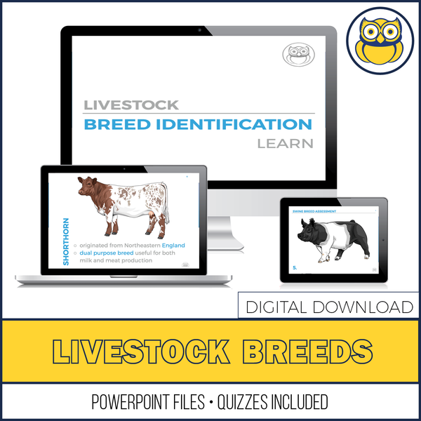Livestock Breed ID, PowerPoint Download