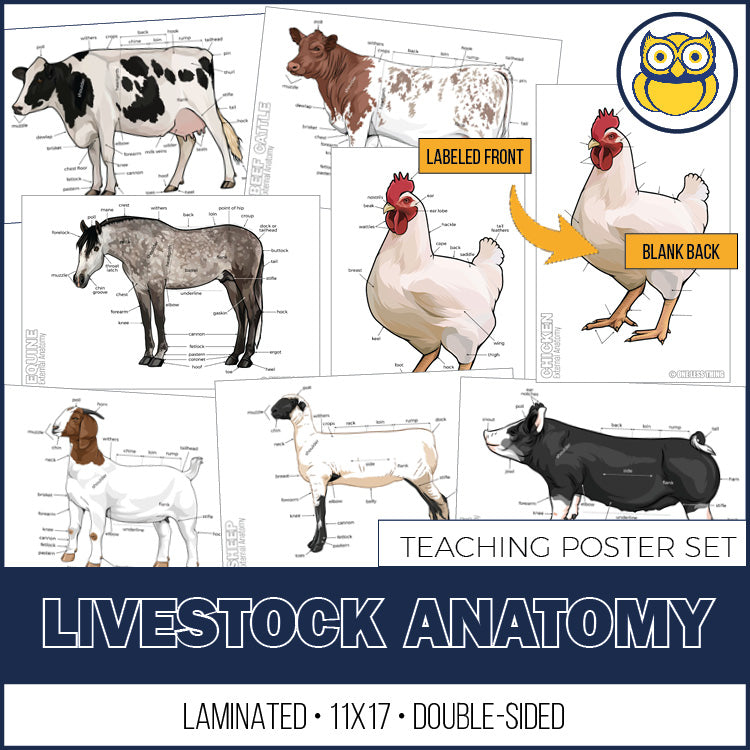 Livestock Anatomy Posters, Set of 7 (REVISED) – One Less Thing