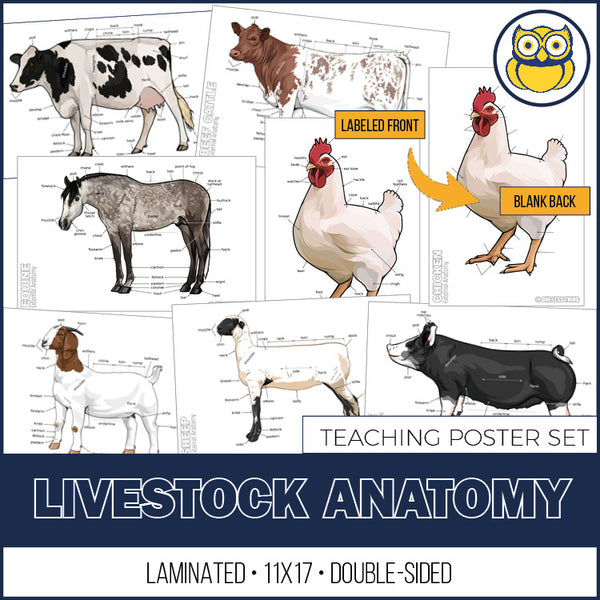 Livestock Anatomy Posters, Set of 7 (REVISED)