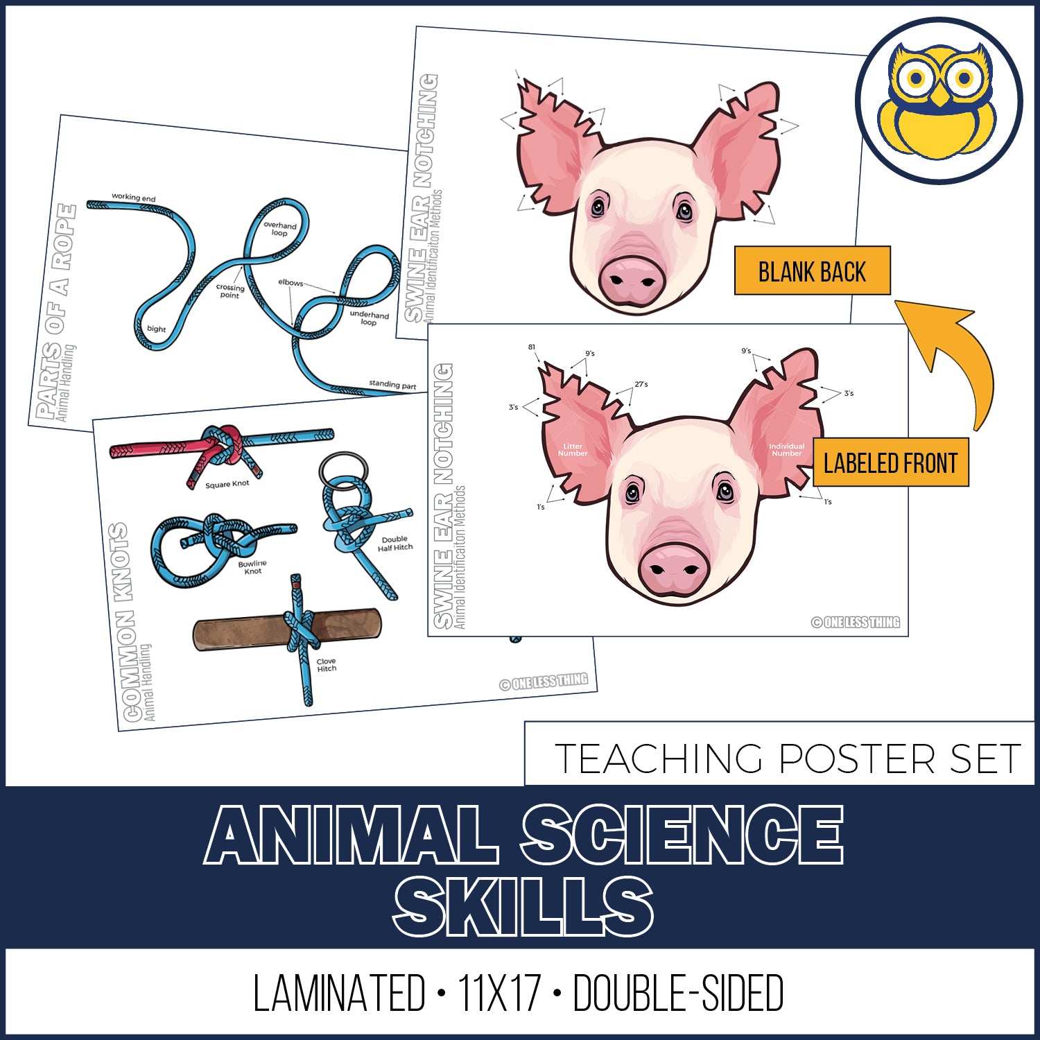 Animal Science Skills Posters, Set of 3 – One Less Thing