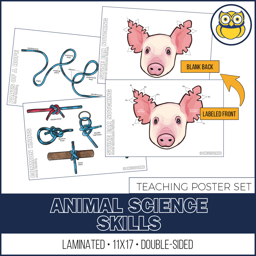 Animal Science Skills Posters, Set of 3