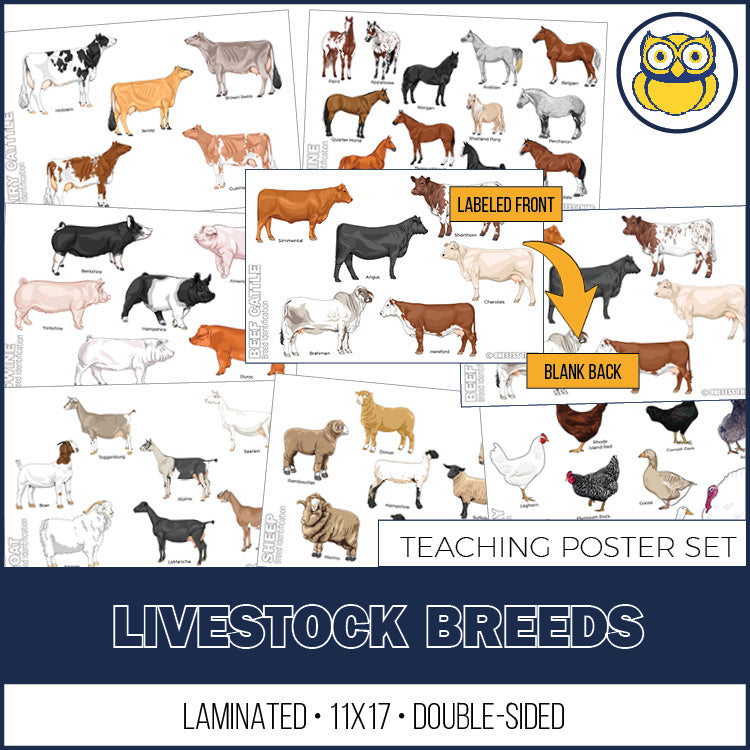 Livestock Breeds Posters, Set of 7 – One Less Thing
