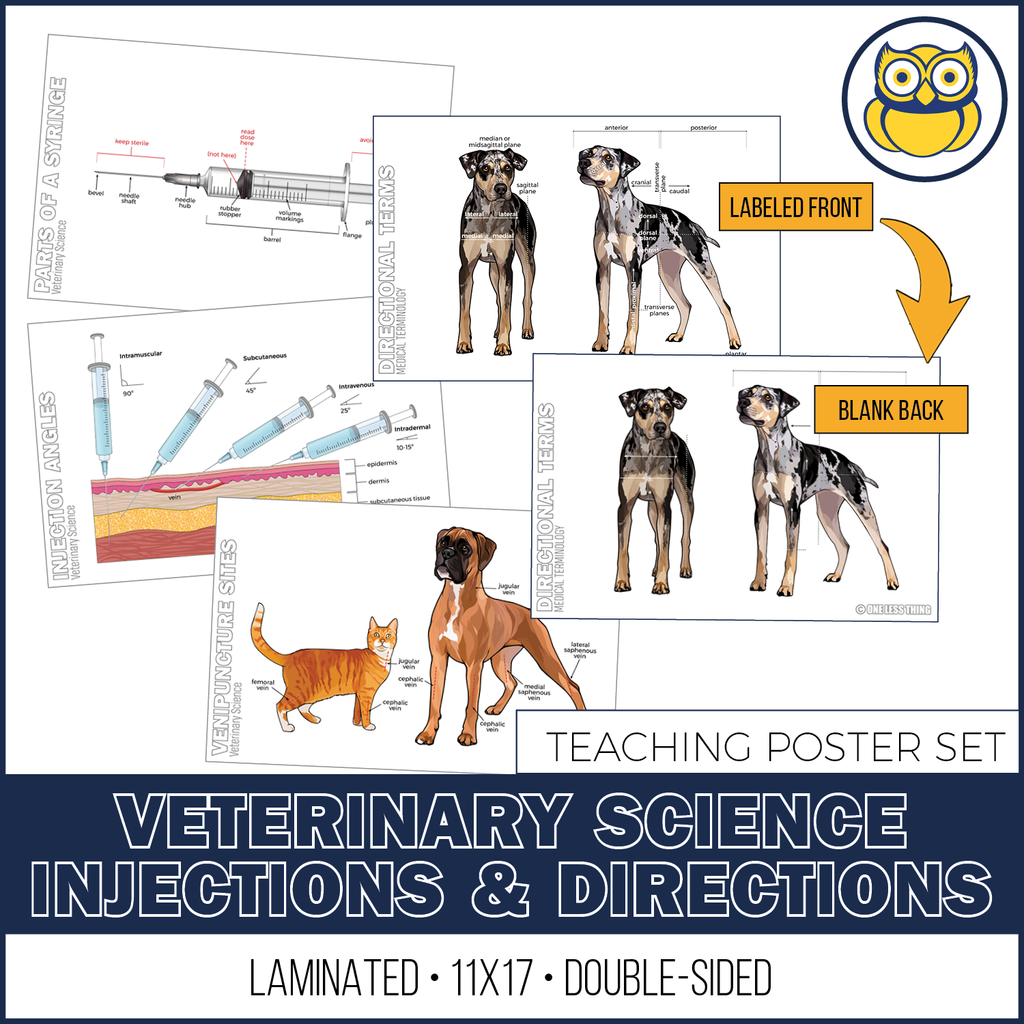 Veterinary Instruments Informative Posters Vet Science Injections and Directions Posters, Set of 4 - One Less Thing