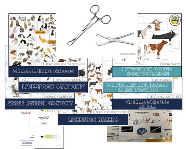 Vetinary Science Science Veterinary Science Tools and Materials Posters, Set of 4 - One Less Thing