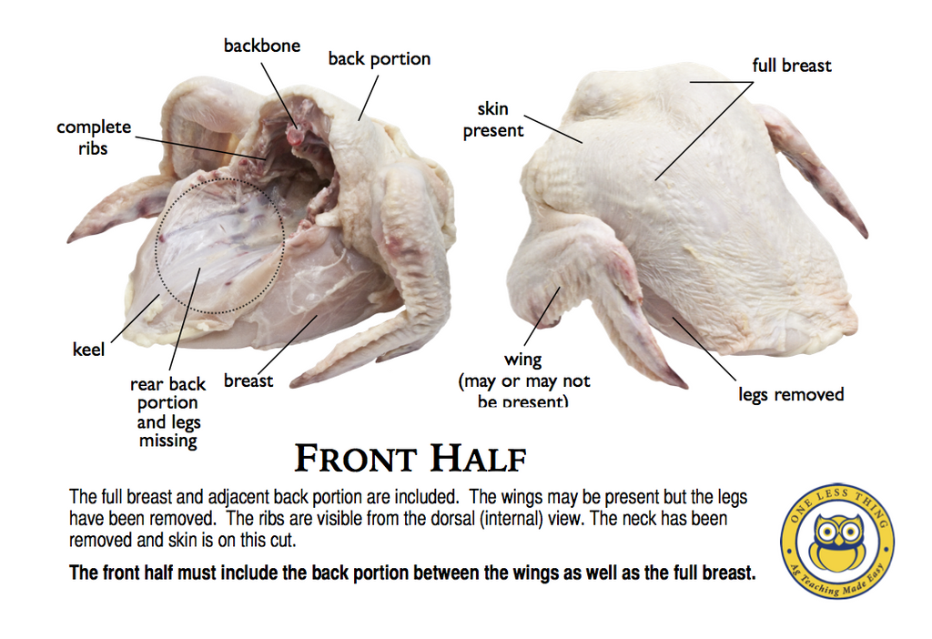 Poultry Judging Cuts ID, IDPix Cards