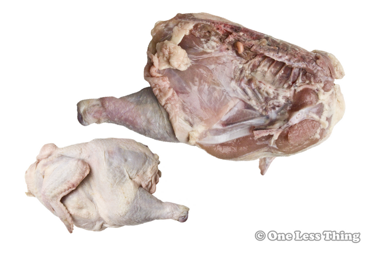 Load image into Gallery viewer, Poultry Judging Team Practice Combo

